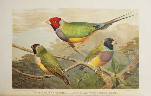 Гааке В. Происхождение животного мира. СПб, 1902.